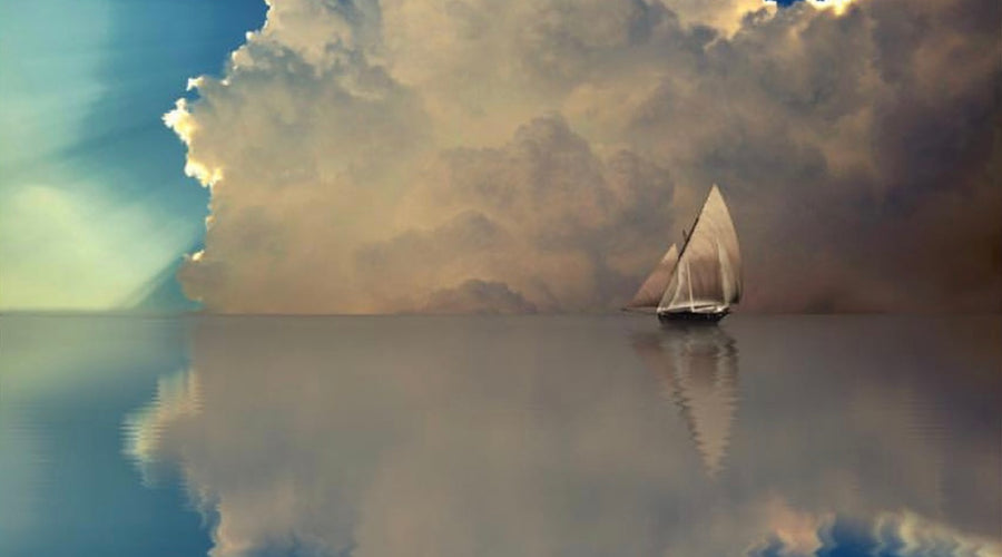 ARE YOU OR YOUR EMOTIONS IN CONTROL?